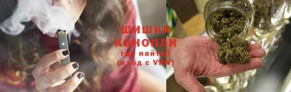 гашик Аркадак