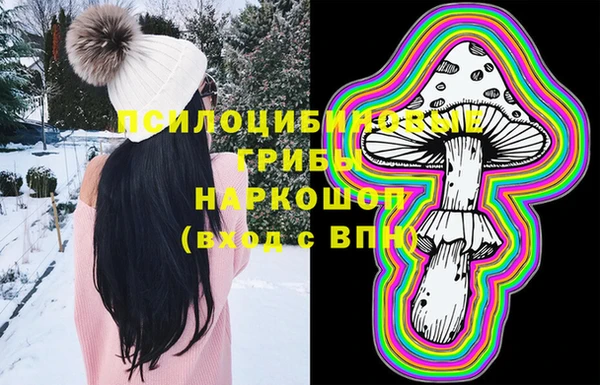 гашик Аркадак