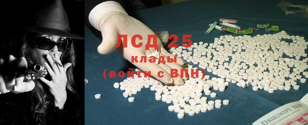 гашик Аркадак