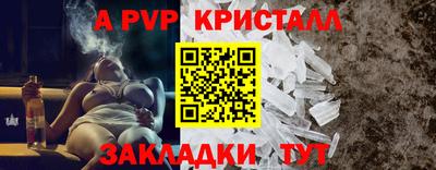 твердый Пугачёв