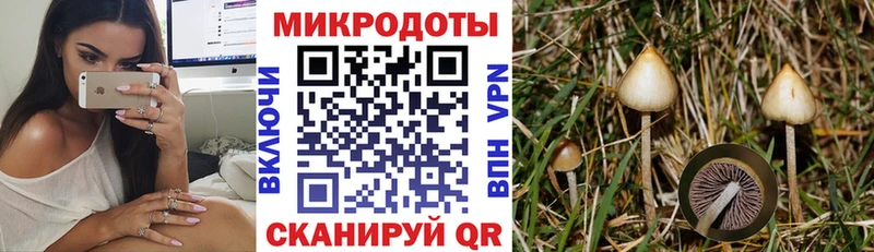 купить  цена  мега как зайти  Галлюциногенные грибы мухоморы  Полевской 
