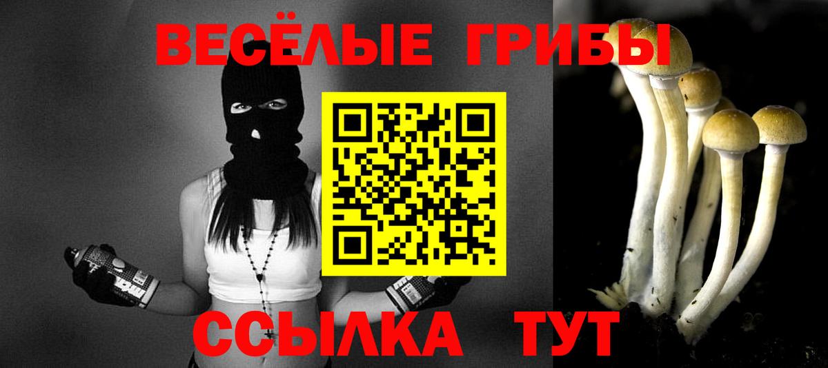 Полевской  Псилоцибиновые грибы прущие грибы  где можно купить наркотик  Вход с VPN  Галлюциногенные грибы мухоморы 